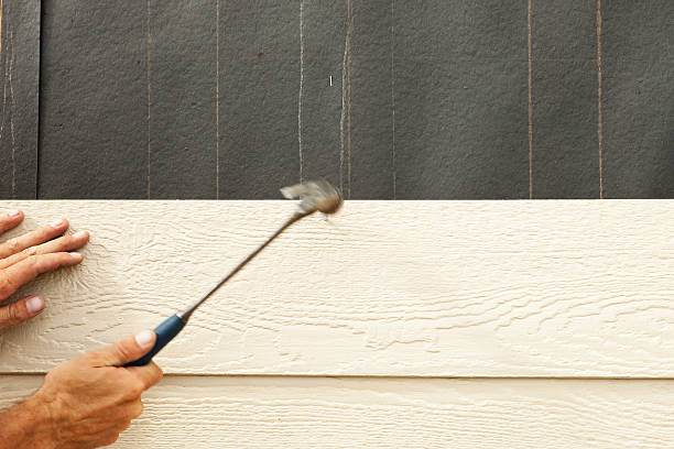 Best Historical Building Siding Restoration  in Savannah, GA